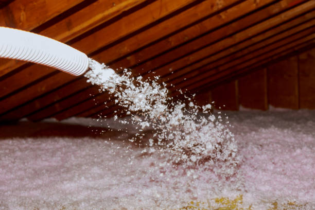 Best Fiberglass Insulation  in Swannanoa, NC