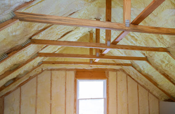 Best Attic Insulation Installation  in Swannanoa, NC
