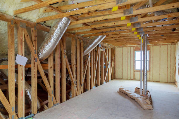 Best Professional Insulation Contractor  in Swannanoa, NC