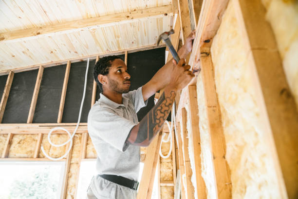 Best Best Insulation Companies  in Swannanoa, NC