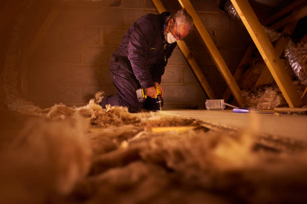 Best Wall Insulation Contractor  in Swannanoa, NC