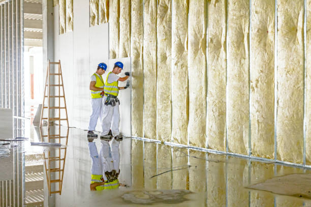 Best Insulation Contractor Near Me  in Swannanoa, NC